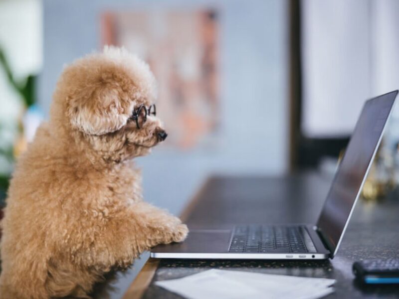 デスクワーク腰痛を悪化させるNG習慣｜良かれと思って逆効果になっていませんか？