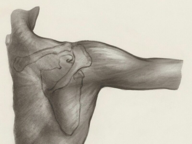 肩を痛めやすい人の特徴と対策｜肩甲骨の可動性がカギになる理由とは